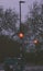 Vertical shot of glowing street lights in a gloomy park in London, United Kingdom