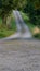 Vertical shot of a gray road leading through trees up a hill