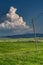 Vertical shot of a green field with hanging wires in val d\'orcia tuscany italy