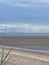 Vertical shot of green grass growing on Morecambe Bay in Cumbria, England on a cloudy day