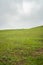 Vertical shot of the green rural fields of Gulmarg, Baramulla, Jammu and Kashmir, India