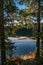 Vertical shot of a green scenery reflecting in the Lost Lake in Whistler BC Canada