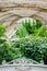 Vertical shot of greenery growing in an old greenhouse under the sunlight