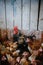 Vertical shot of a group of hens and roosters looking for food in a chicken coop