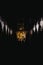 Vertical shot of the hallway in an old dark building with arch shaped wall and golden statues