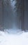 Vertical shot of a hazy forest covered with heavy snow and fog