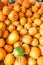 Vertical shot of a heap of pumpkins on the market under the sunlight