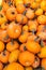 Vertical shot of a heap of pumpkins on the market under the sunlight