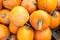 Vertical shot of a heap of pumpkins on the market under the sunlight