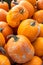 Vertical shot of a heap of pumpkins on the market under the sunlight