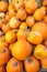 Vertical shot of a heap of pumpkins on the market under the sunlight