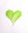 Vertical shot of the heart-shaped aloe green skincare texture on a white background