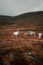 Vertical shot of a herd of mountain reindeer (Rangifer tarandus tarandus) on the mountain slope