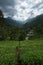 Vertical shot of a hilly rural area in Sri Lanka