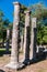 Vertical shot of the historic ruins of Olympia, Greece