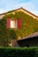 Vertical shot of a house covered in a crawling plant in the sunset
