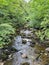 Vertical shot of the Ingleton Waterfalls Trail, hiking trail with a steam flowing into a valley