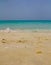 A vertical shot of the Jumeirah beach in Dubai, UAE