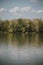 Vertical shot of a lake view surrounded by trees