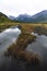 Vertical shot of lakes surrounded by greenery between mountains on a foggy day in Alaska