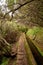 Vertical shot of the Levada of Madeira irrigation channels in the wilderness