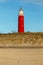 Vertical shot of a lighthouse in dunes of texel national park in netherlands