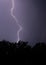 Vertical shot of lightning hitting a tree at night with a purple sky and trees in front