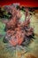 Vertical shot of a line of beautiful plants on a sand-covered field in the desert shot in infrared