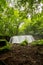 Vertical shot of long exposure photography of Choshi waterfall of Oirase stream in Aomori, Japan during summer