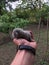 Vertical shot of a male hand holding a little otter