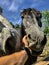 Vertical shot of a male stroking a black horse in a farmland