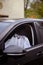 Vertical shot of a man wearing a white ghost costume and driving a car