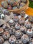 Vertical shot of many Romanian Orthodox Easter eggs