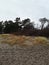 Vertical shot of a meadow field with swaying trees under the clear white sky in Ula, Norway