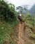 Vertical shot of Men riding horses by coffee plants on coffee farm in Mexico