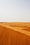 Vertical shot of a mesmerizing desert landscape against the gray sky