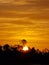 Vertical shot of a mesmerizing golden sunset with the silhouette of trees in the background