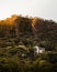 Vertical shot of a modern rural building on a hill slope covered with lush dense vegetation