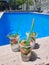 Vertical shot of mojito cocktails by a pool with trees in the background