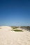 Vertical shot of Monahans Sandhills State Park with a clear blue sky