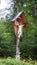 Vertical shot of a monument of Jesus Christ in a park