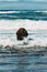 Vertical shot of a mossy rock formation in the foamy ocean