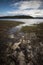 Vertical shot of the muddy shore of Smiths Lake. New South Wales, Australia.