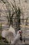 Vertical shot of a Muscovy duck preparing for flight on a pond