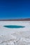 Vertical shot of an oasis with turquoise water lagoon in the Atacama desert, Chile