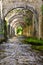 Vertical shot of old brick arches leaning over a river stream in a forest