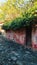 Vertical shot of an old house with ivy in the streets of Colonia del Sacramento, Uruguay