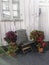 Vertical shot of an old rusty chair and plants in front of a house