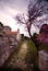 Vertical shot of an old stone church with a blooming peach tree in the yard.