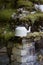 Vertical shot of an old teapot in the mossy garden